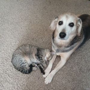 Meet your Posher, Nora